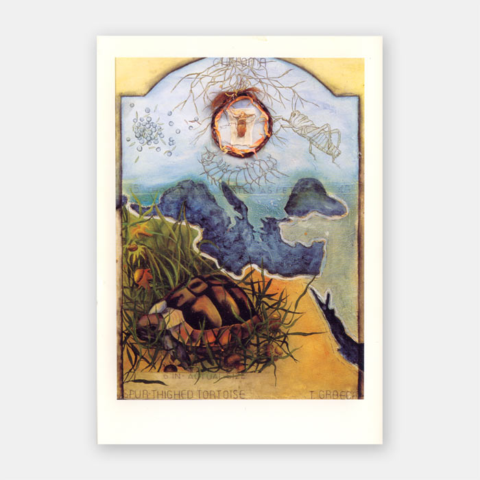 Paintings by Julia D'Amario at McKinney Arts