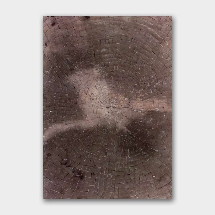 Mixed media and photography by Melissa Zexter at Tredomus