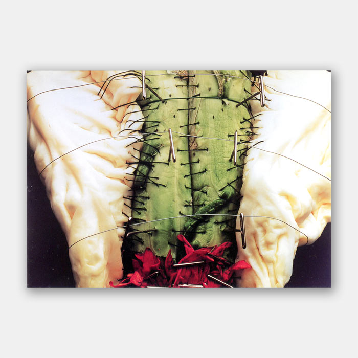 Photography by Peter Carey at McKinney Arts