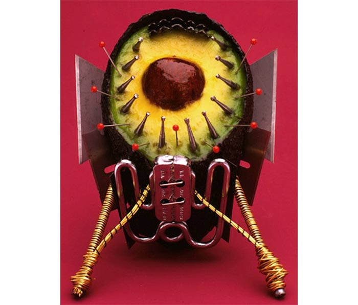 Hybrid 236 photograph by Peter Carey