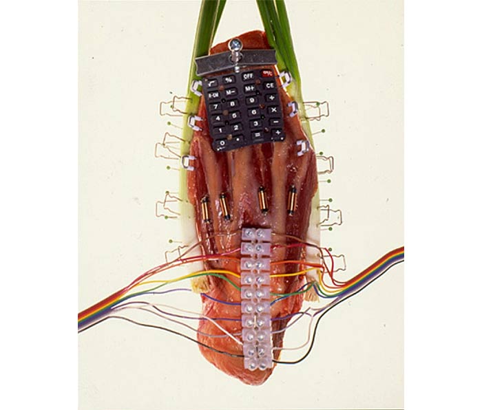 Hybrid 645 photograph by Peter Carey