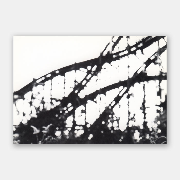 Photography group show, The Affected Landscape at McKinney Arts